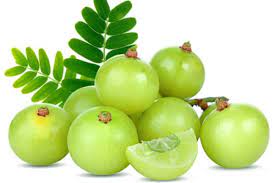 সব রোগের ওষুধ আমলকী।