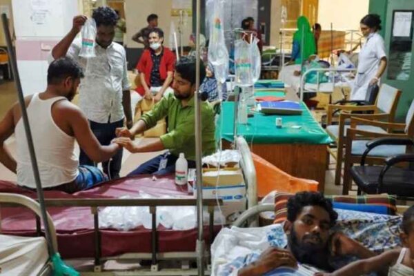 ঢাকার ১৩ ওয়ার্ড ডেঙ্গুর উচ্চঝুঁকিতে রয়েছে।