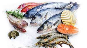 সামুদ্রিক মাছের উপকারিতা জানলে অবাক হবেন।