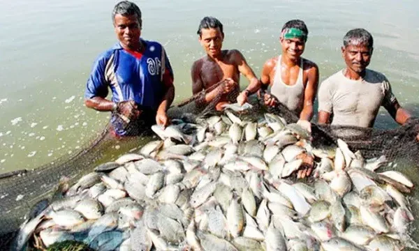 পটুয়াখালীর কলাপাড়া উপজেলার নীলগঞ্জে জলবায়ু সহনশীল মাছ চাষে নতুন সম্ভাবনা।